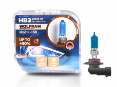 HB3 Halojen Ampul Sky Blue Beyaz Işık 12V 100W