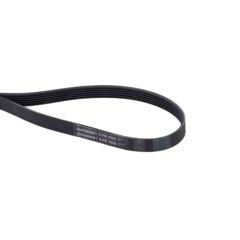 Continental V Kayışı Kanallı 04L260849C