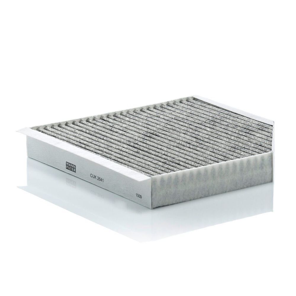 Karbonlu Polen Filtresi, 4H0819439